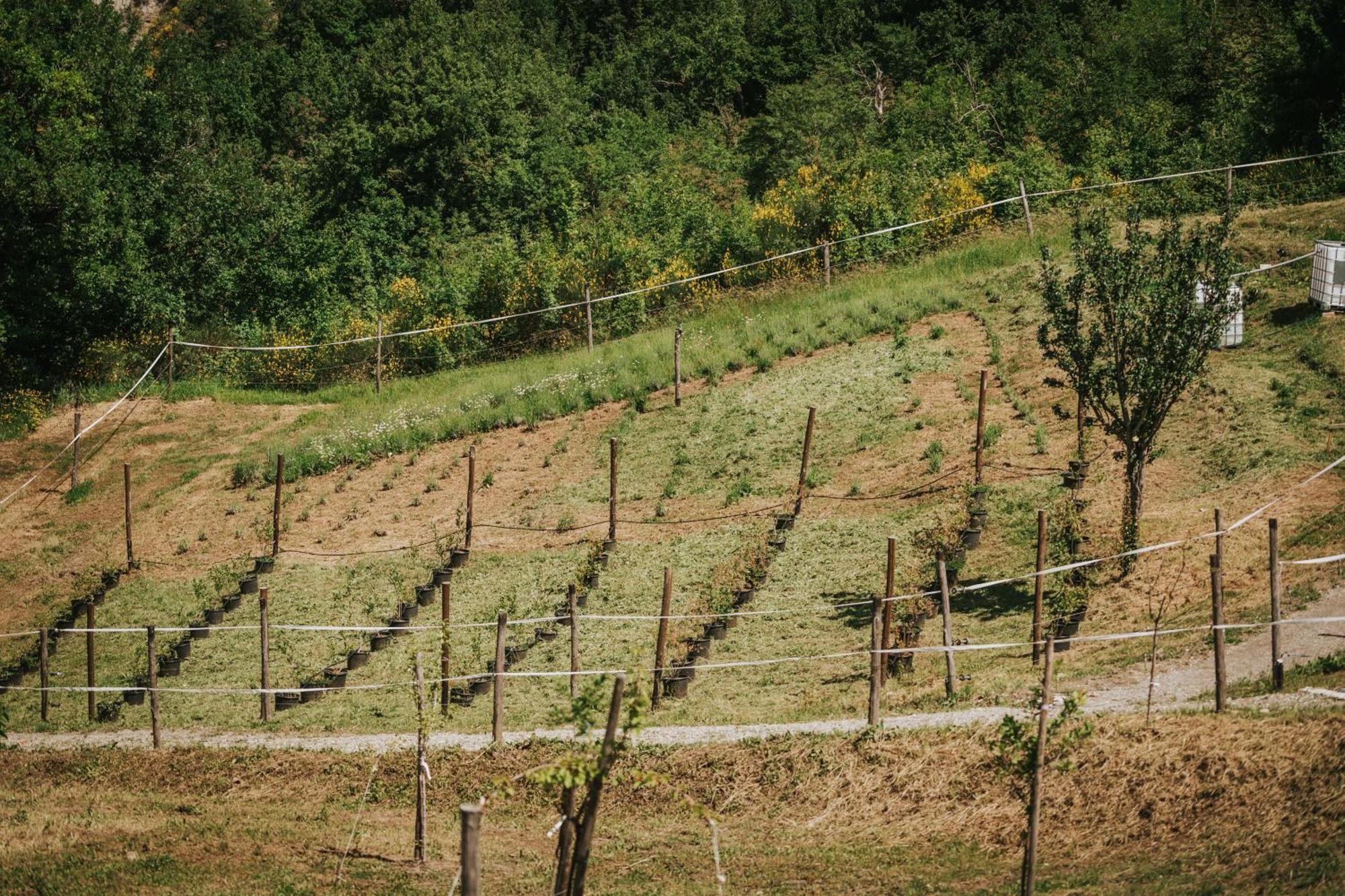 Agricampeggio Ca Di Mazza Monzuno Exteriör bild