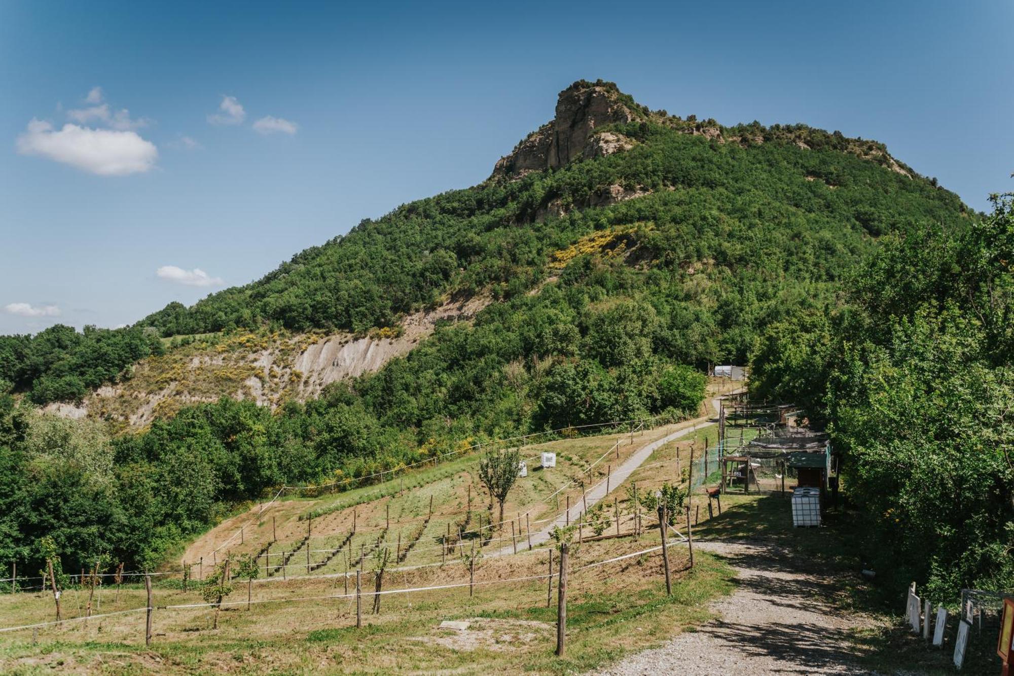 Agricampeggio Ca Di Mazza Monzuno Exteriör bild